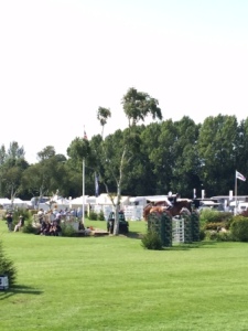 3. FEI_nations cup_showjumping_ben maher_diva_horse_rider_jumping_oxer_competition_hickstead_RIHS_sussex_england_summer